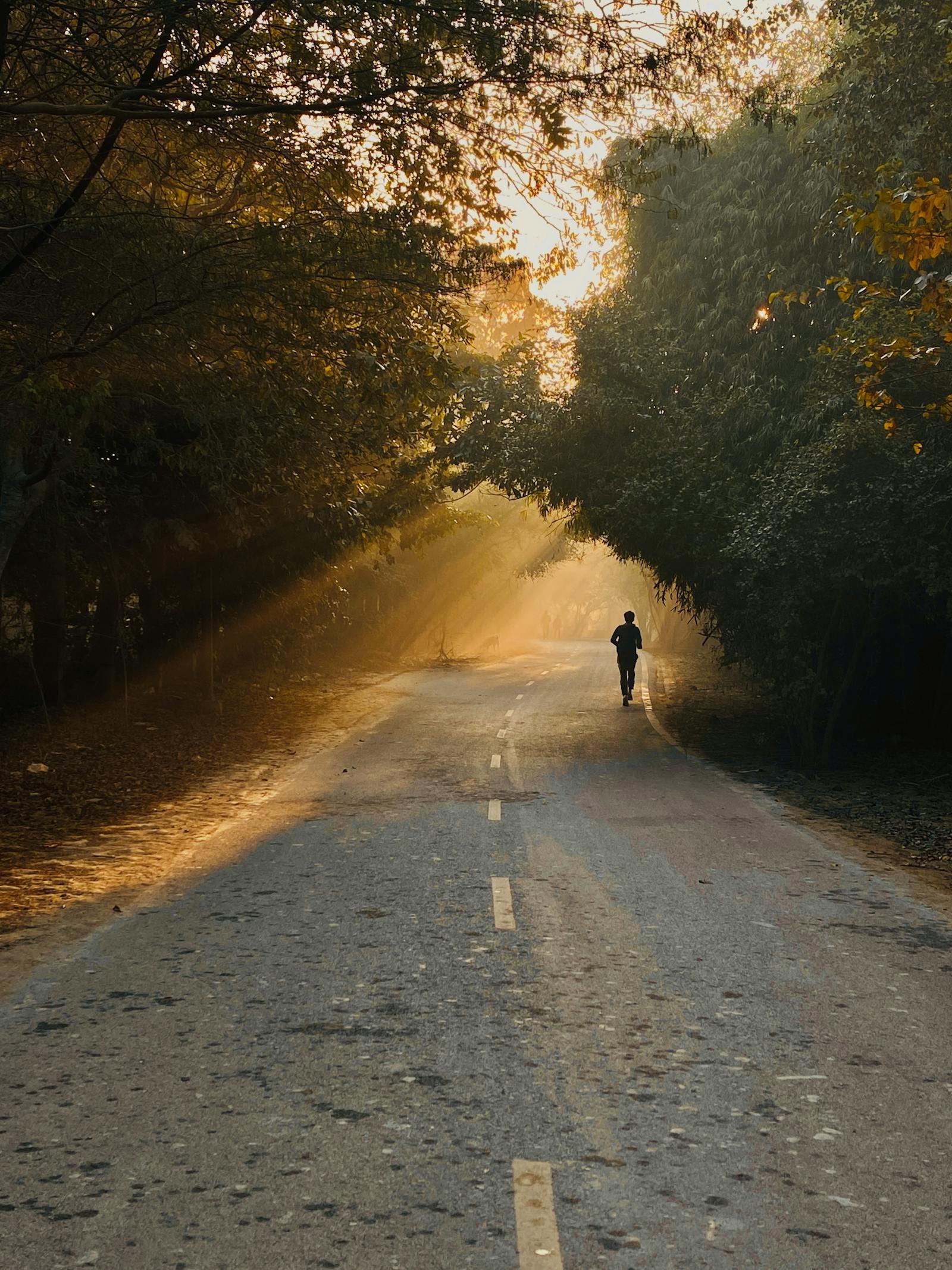 Sport et stress : comment l'effort physique apaise (vraiment) votre cerveau